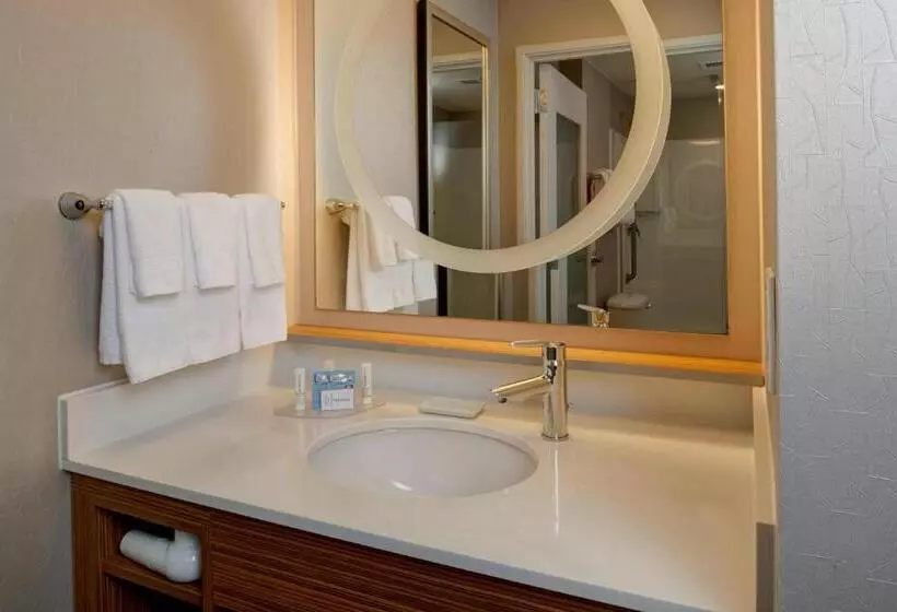 キングサイドベッドのスタンダードワンルーム, Springhill Suites St. Louis Brentwood