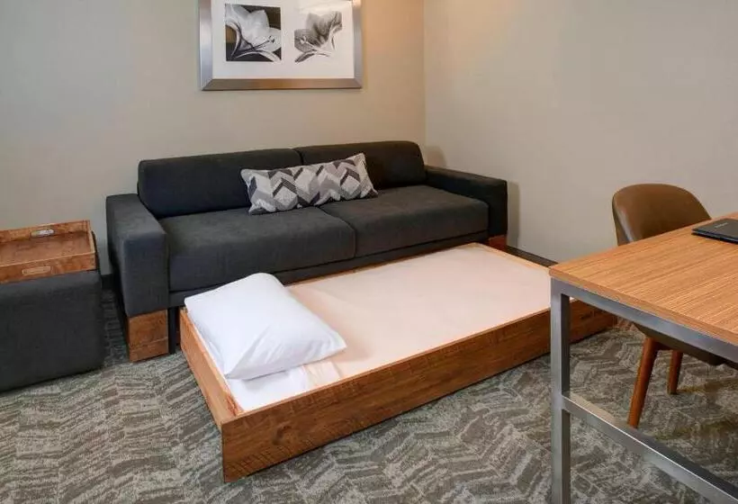 キングサイドベッドのスタンダードワンルーム, Springhill Suites St. Louis Brentwood