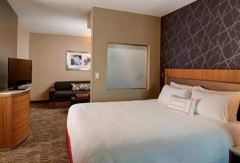 إستوديو قياسى سرير كينج, Springhill Suites St. Louis Brentwood