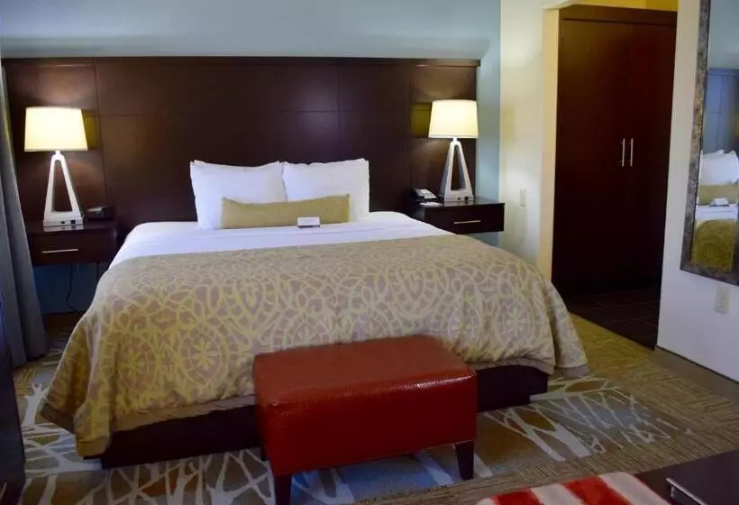 キングサイドベッドのスタンダードワンルーム, Staybridge Suites Houston Stafford   Sugar Land, An Ihg