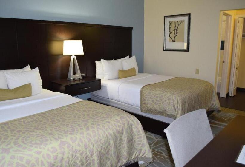 جناح لذوى الاحتياجات الخاصة, Staybridge Suites Houston Stafford   Sugar Land, An Ihg