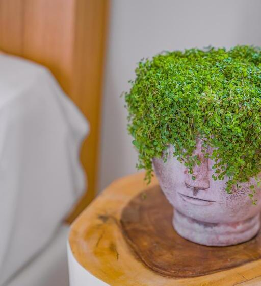 带1个卧室的高级公寓, Notos Heights Hotel & Suites