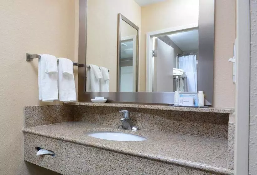 スタンダードルーム, Springhill Suites By Marriott Lynchburg Airport/university Area