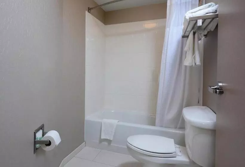 スタンダードルーム, Springhill Suites By Marriott Lynchburg Airport/university Area