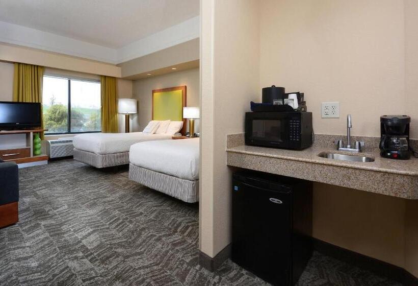 غرفة قياسية, Springhill Suites By Marriott Lynchburg Airport/university Area