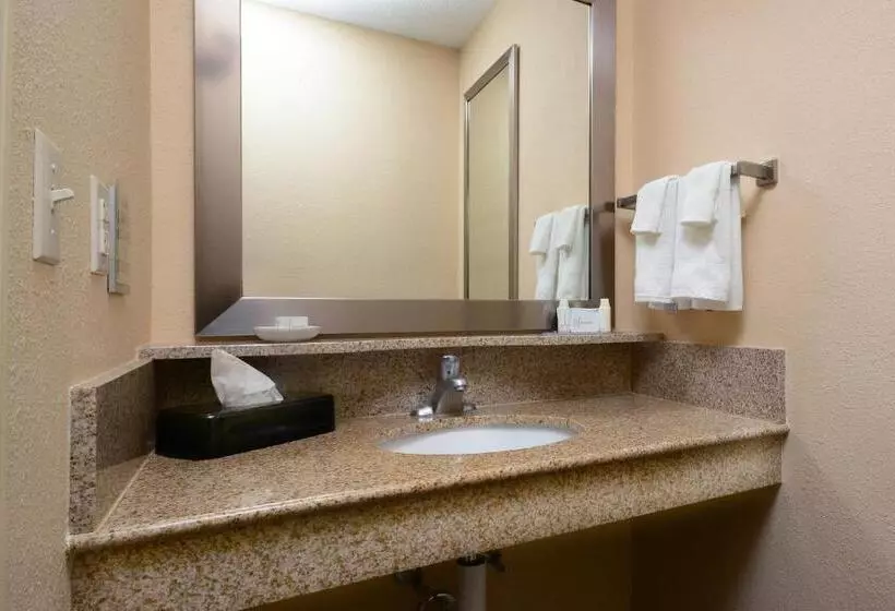 キングサイドベッドのスタンダードワンルーム, Springhill Suites By Marriott Lynchburg Airport/university Area