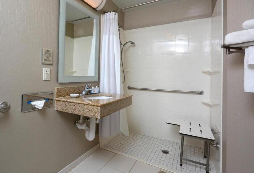 Студио Стандарт Кровать Кинг, Springhill Suites By Marriott Lynchburg Airport/university Area
