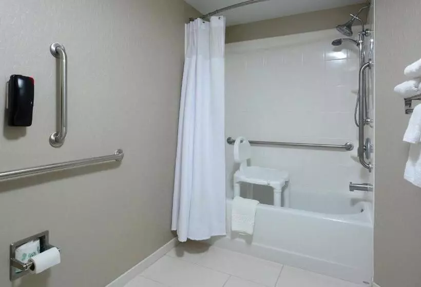 キングサイドベッドのスタンダードワンルーム, Springhill Suites By Marriott Lynchburg Airport/university Area