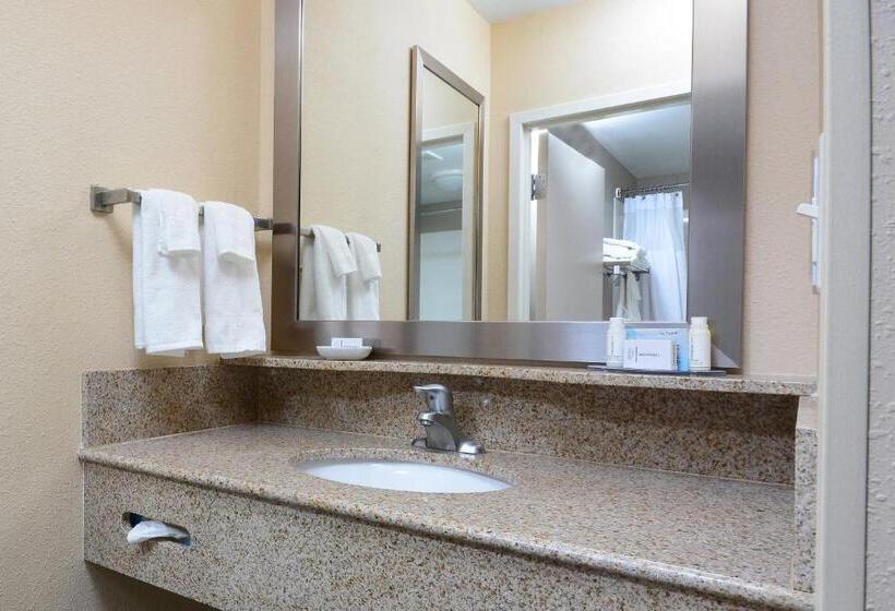 إستوديو قياسى سرير كينج, Springhill Suites By Marriott Lynchburg Airport/university Area