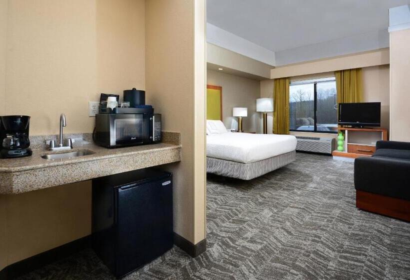 Студио Стандарт Кровать Кинг, Springhill Suites By Marriott Lynchburg Airport/university Area
