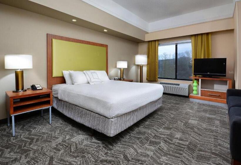 إستوديو قياسى سرير كينج, Springhill Suites By Marriott Lynchburg Airport/university Area