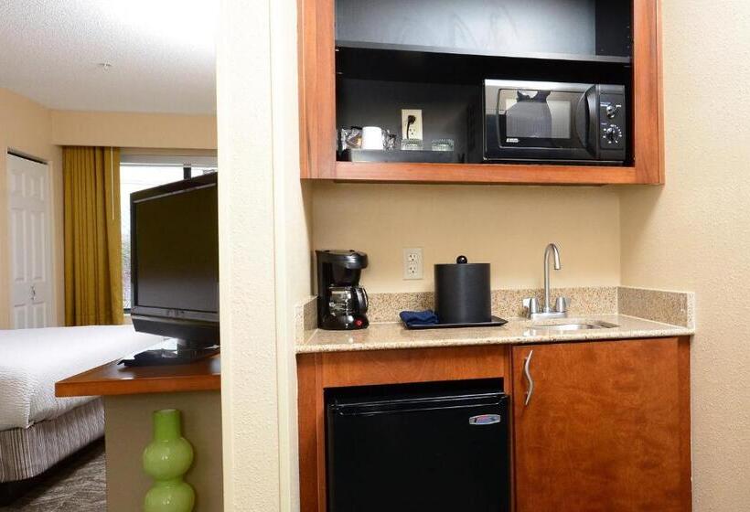 إستوديو قياسى سرير كينج, Springhill Suites By Marriott Lynchburg Airport/university Area