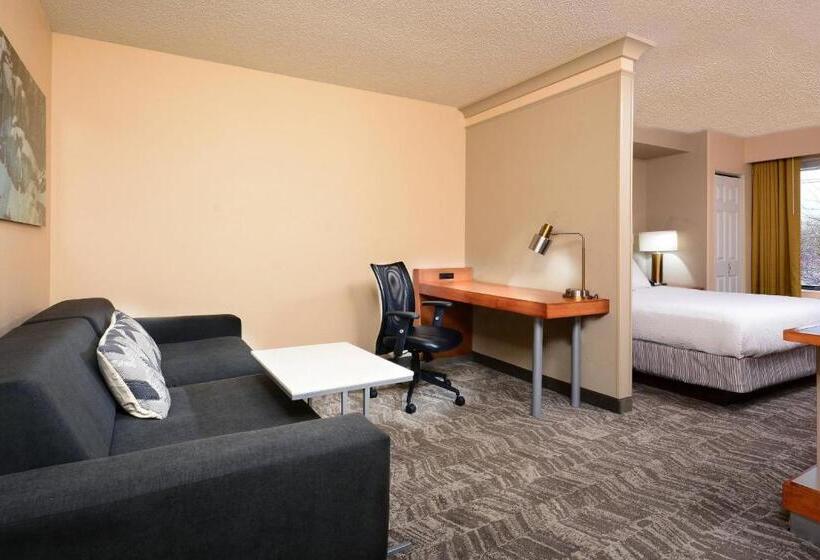 Студио Стандарт Кровать Кинг, Springhill Suites By Marriott Lynchburg Airport/university Area