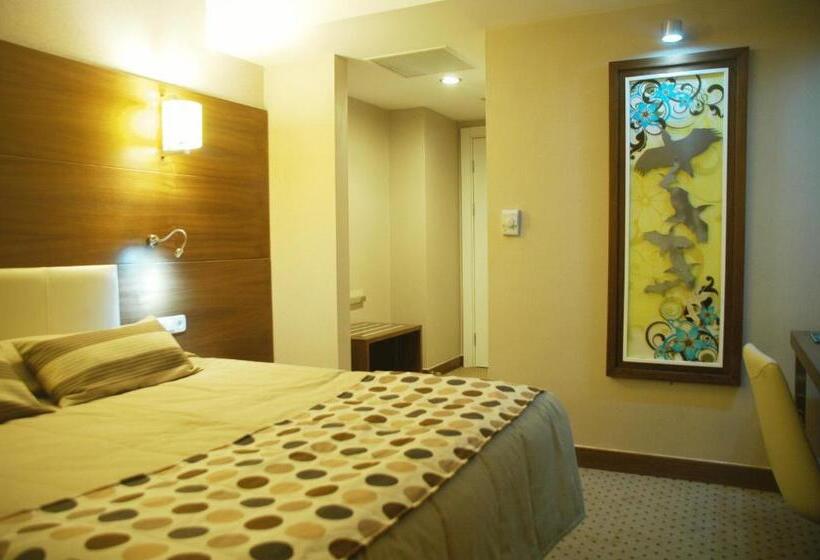 اتاق استاندارد, Alba Ankara