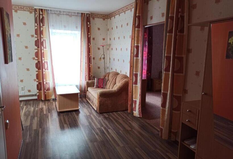 آپارتمان 1 خوابه, Central