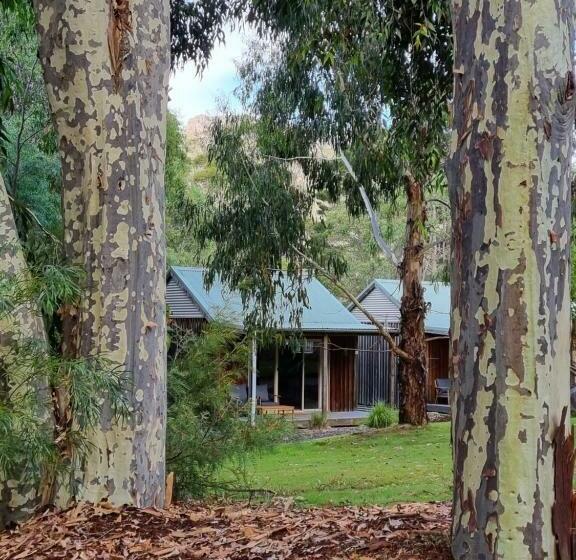 Студия Стандарт, D'altons Studios