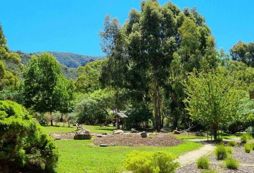 Студия Стандарт, D'altons Studios