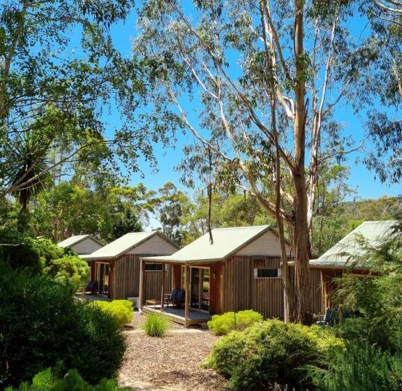 Студия Стандарт, D'altons Studios