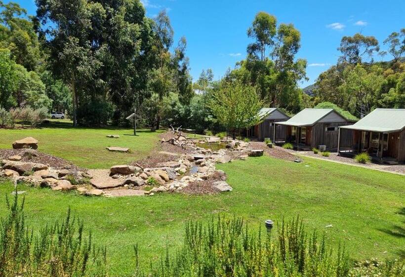 Студия Стандарт, D'altons Studios