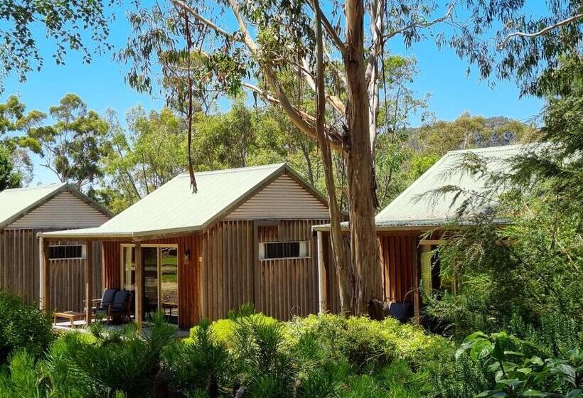 Студия Стандарт, D'altons Studios