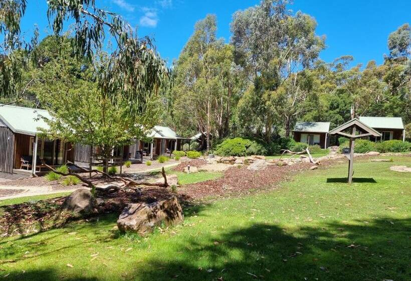 Студия Стандарт, D'altons Studios