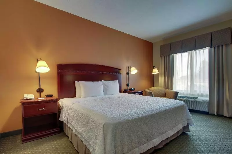 キングサイズベッドのスタンダードルーム, Hampton Inn & Suites Denver Littleton