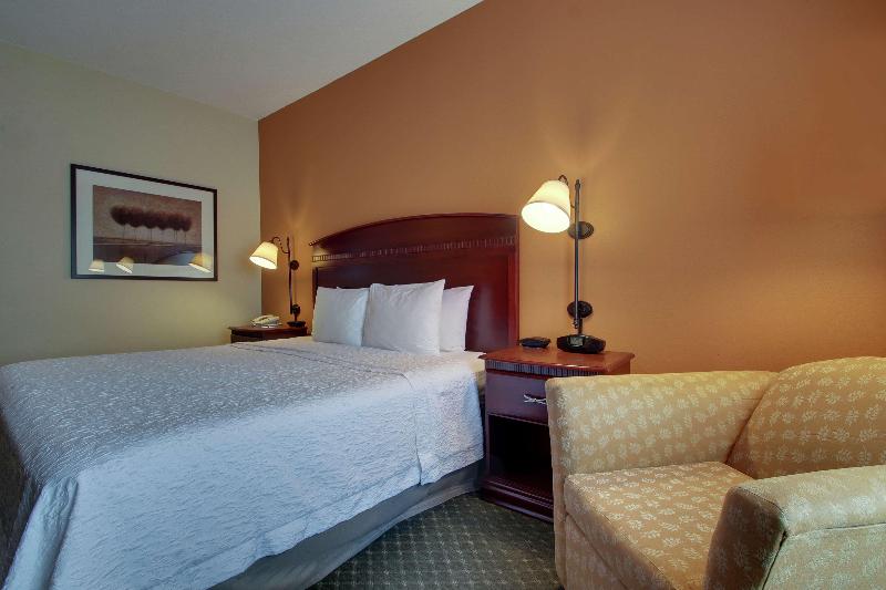 스탠다드 룸 킹사이즈 침대, Hampton Inn & Suites Denver Littleton