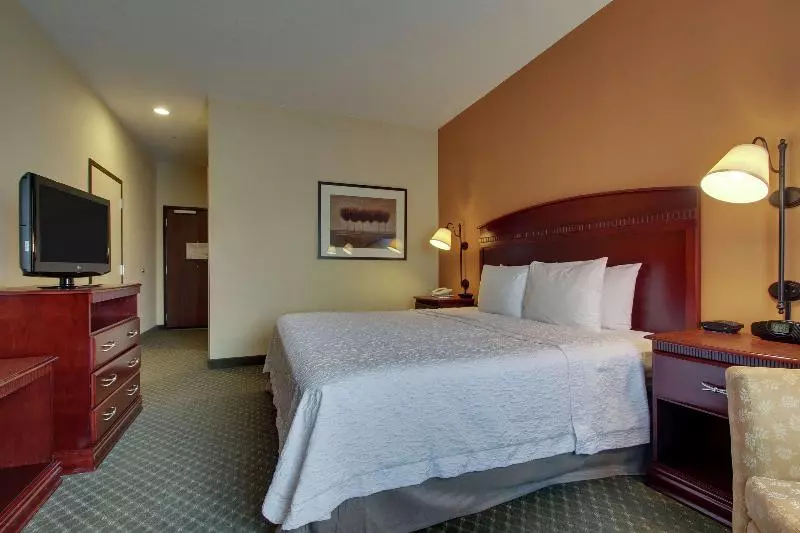 キングサイズベッドのスタンダードルーム, Hampton Inn & Suites Denver Littleton