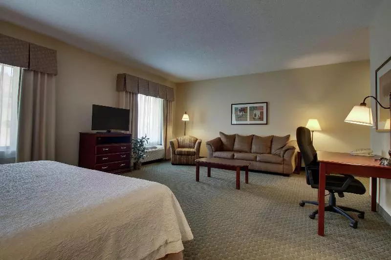 キングサイドベッドのスタンダードワンルーム, Hampton Inn & Suites Denver Littleton