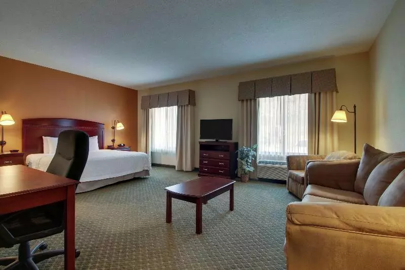 キングサイドベッドのスタンダードワンルーム, Hampton Inn & Suites Denver Littleton
