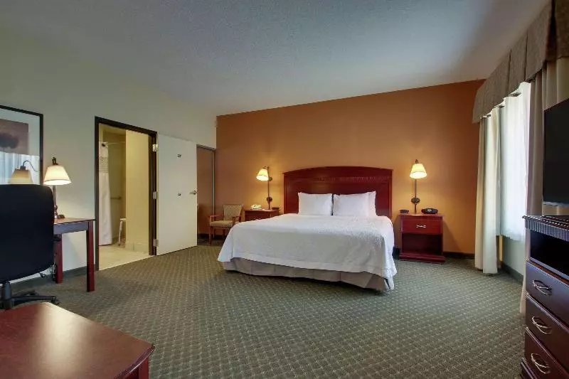 キングサイドベッドのスタンダードワンルーム, Hampton Inn & Suites Denver Littleton