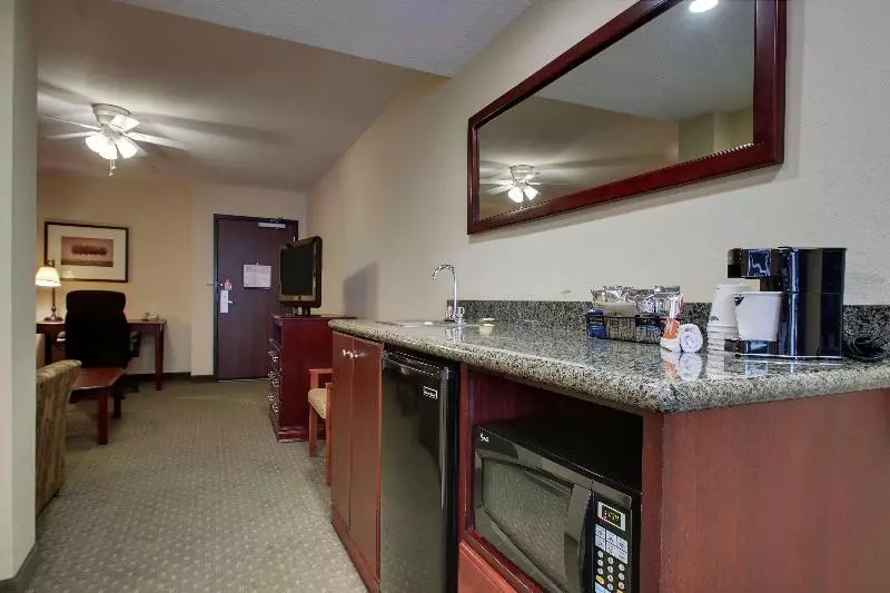 キングサイズベッドのスイートルーム, Hampton Inn & Suites Denver Littleton