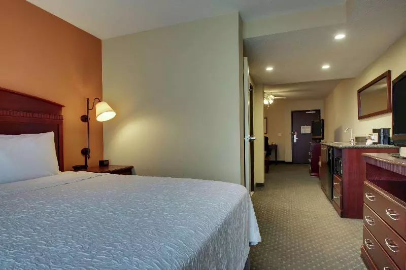 キングサイズベッドのスイートルーム, Hampton Inn & Suites Denver Littleton