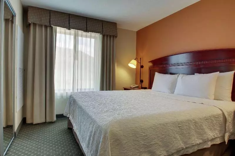 キングサイズベッドのスイートルーム, Hampton Inn & Suites Denver Littleton