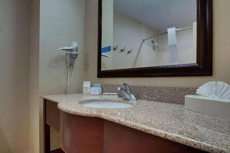 キングサイズベッドのスイートルーム, Hampton Inn & Suites Denver Littleton