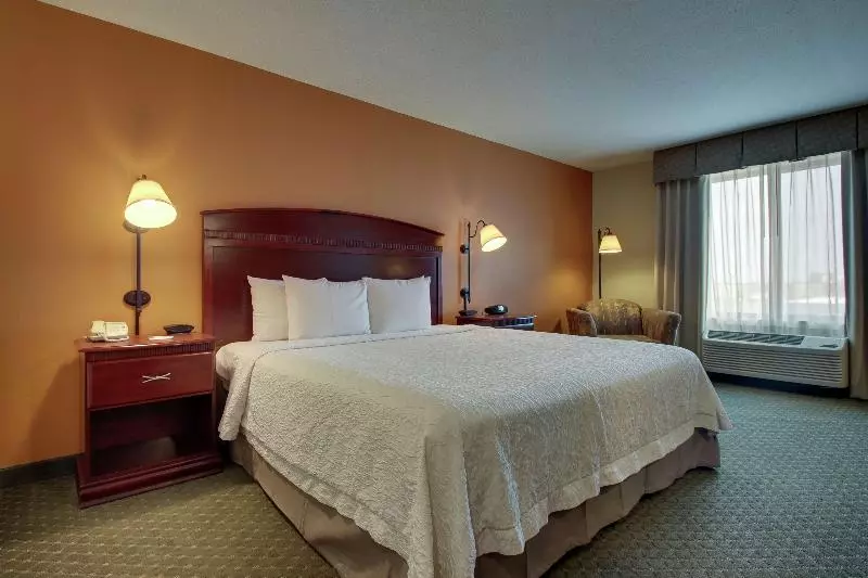 キングサイズベッドのスタンダードルーム, Hampton Inn & Suites Denver Littleton