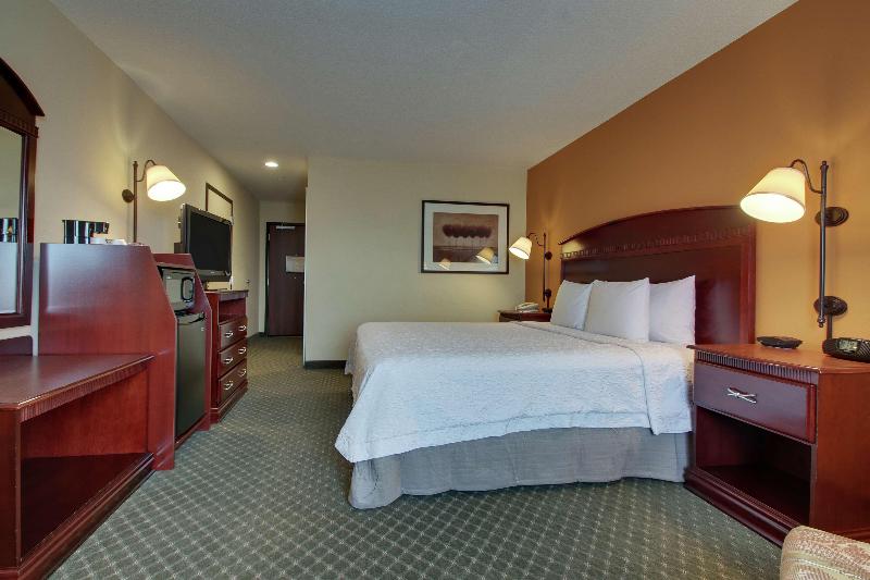 스탠다드 룸 킹사이즈 침대, Hampton Inn & Suites Denver Littleton