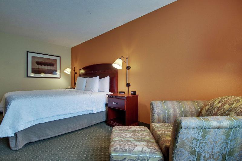 스탠다드 룸 킹사이즈 침대, Hampton Inn & Suites Denver Littleton