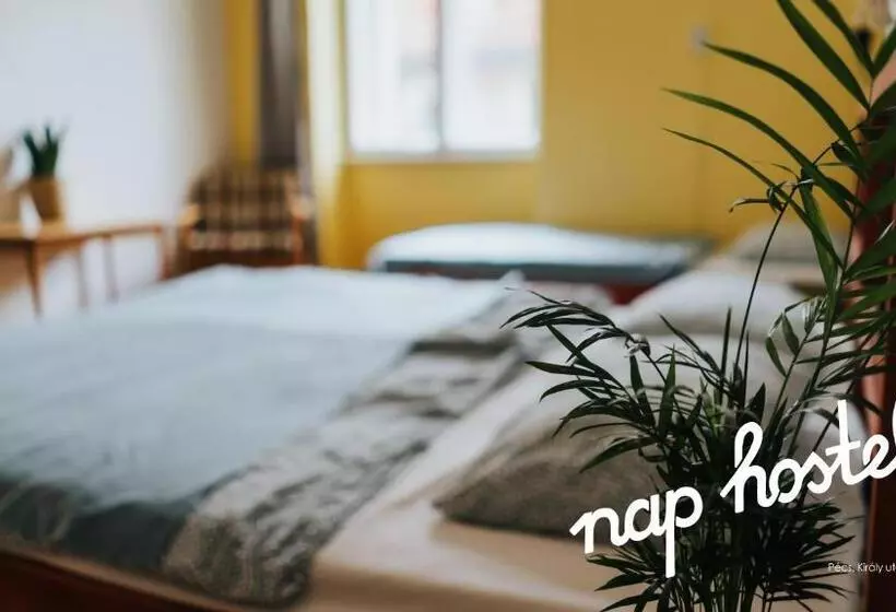 اتاق استاندارد با سرویس بهداشتی مشترک, Nap Hostel Pécs