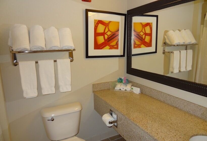 جناح, Holiday Inn Express Hotel & Suites Columbus Southeast Groveport, An Ihg