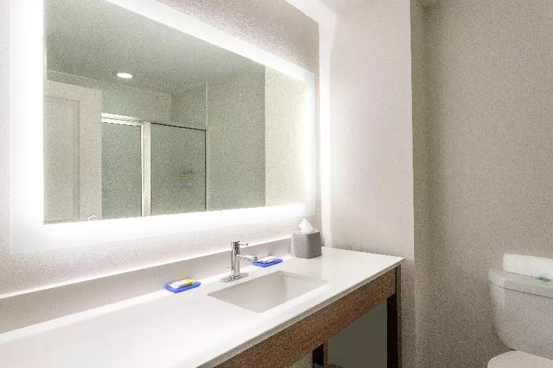 キングサイズベッドのスタンダードルーム, Holiday Inn Express & Suites Searcy, An Ihg