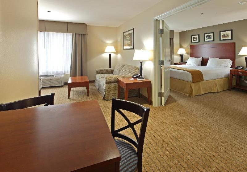 이그제큐티브 스위트 킹침대, Holiday Inn Express & Suites Searcy, An Ihg
