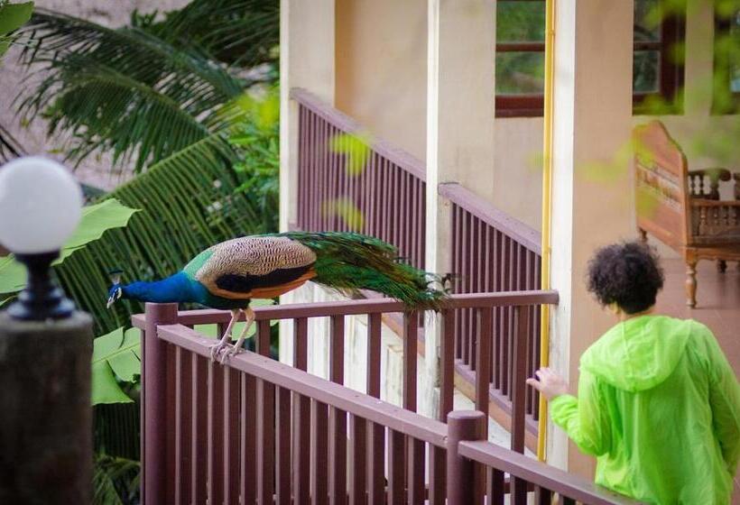 غرفة قياسية, Chang Cliff Resort