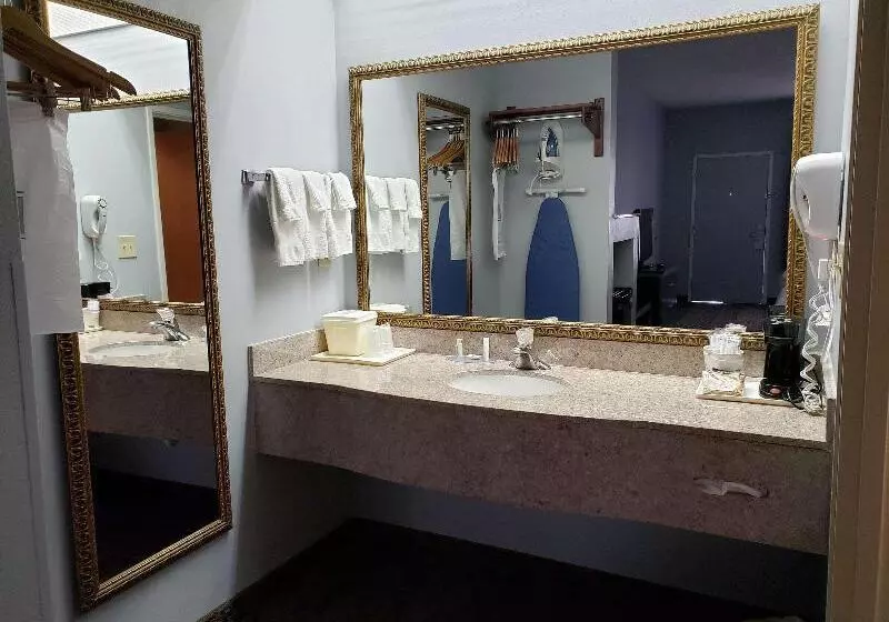 キングサイズベッドのデラックスルーム, Hilton Garden Inn Leiden
