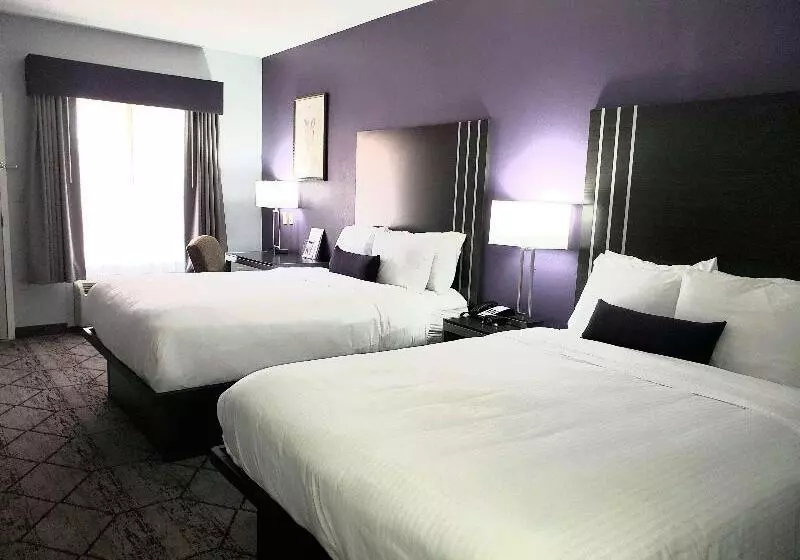 キングサイズベッドのデラックスルーム, Hilton Garden Inn Leiden