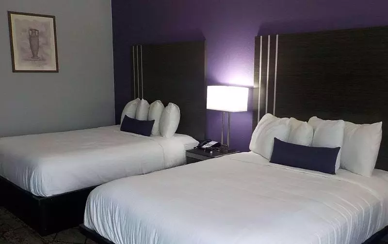 キングサイズベッドのデラックスルーム, Hilton Garden Inn Leiden