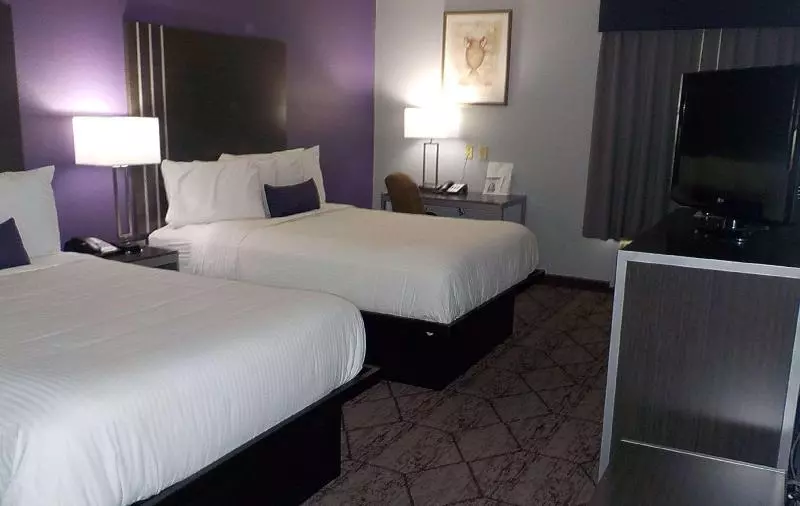 キングサイズベッドのデラックスルーム, Hilton Garden Inn Leiden
