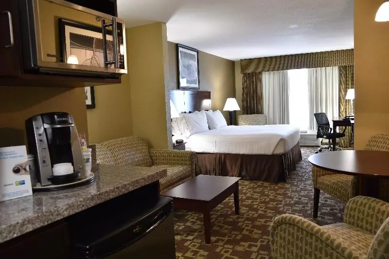 Sviitti King-vuode, Holiday Inn Express Hotel & Suites St. Charles, An Ihg