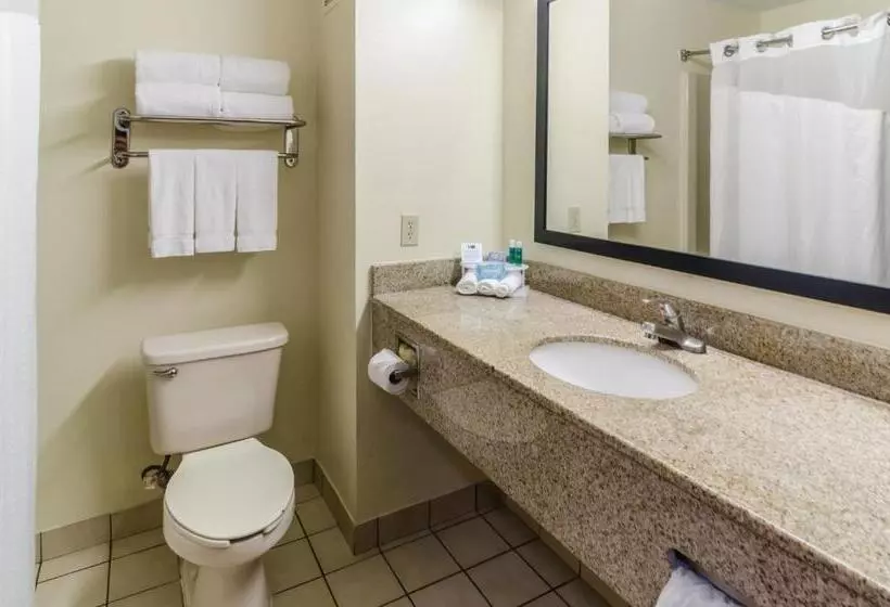 キングサイズベッドのスタンダードルーム, Holiday Inn Express Hotel & Suites Vinita, An Ihg