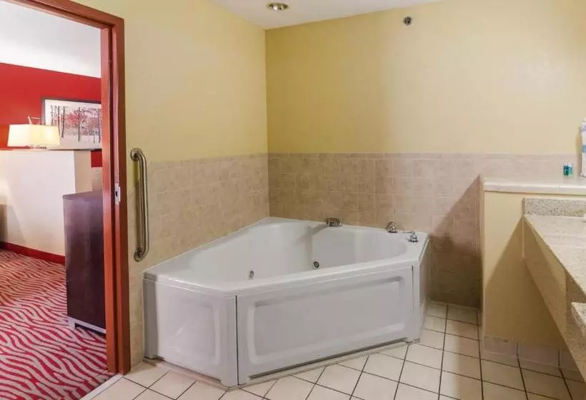 ハイドロマッサージバス付きスイート, Holiday Inn Express Hotel & Suites Vinita, An Ihg